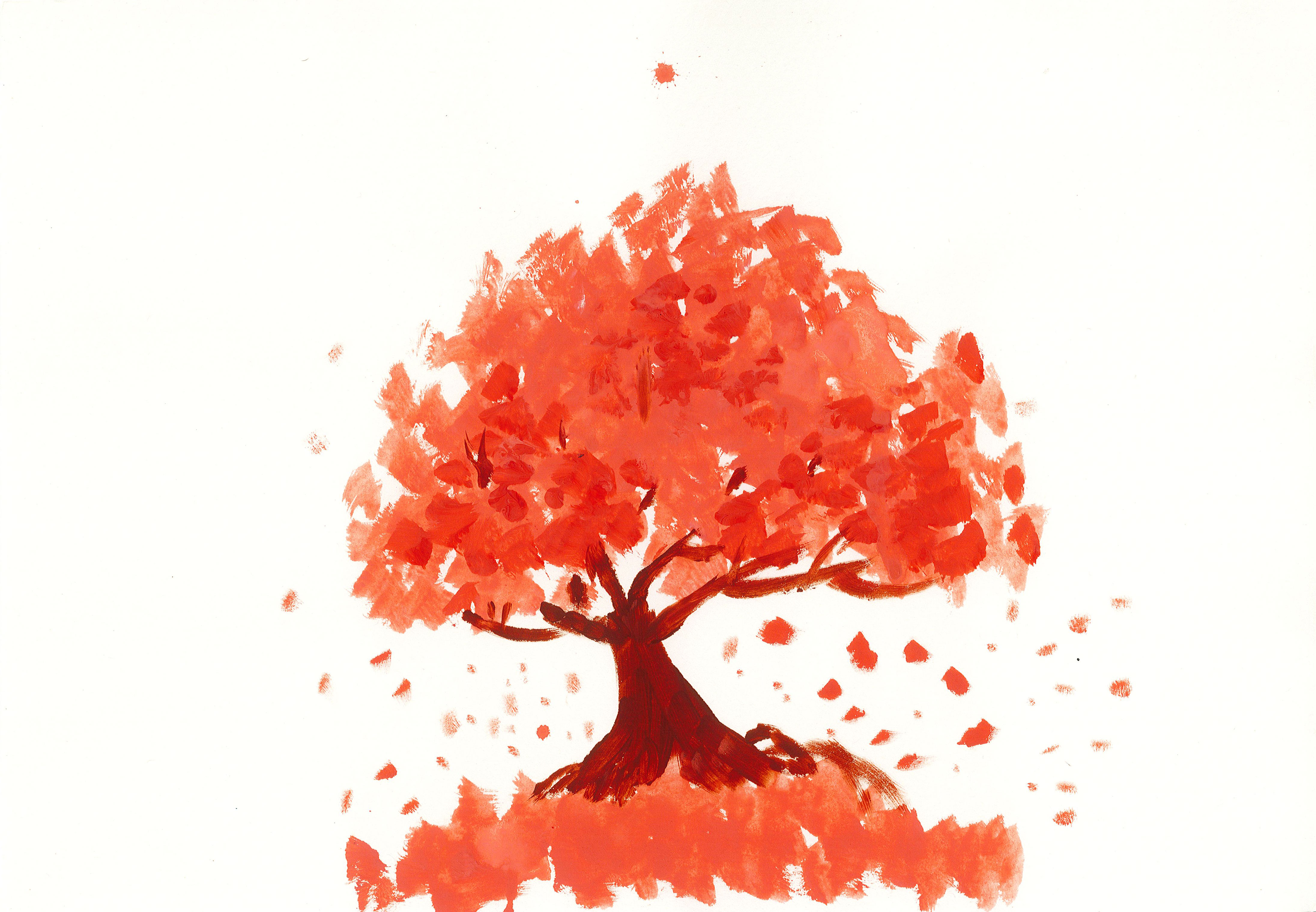 红树.jpg